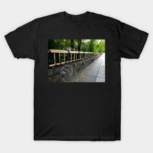 Bamboo fence T-Shirt